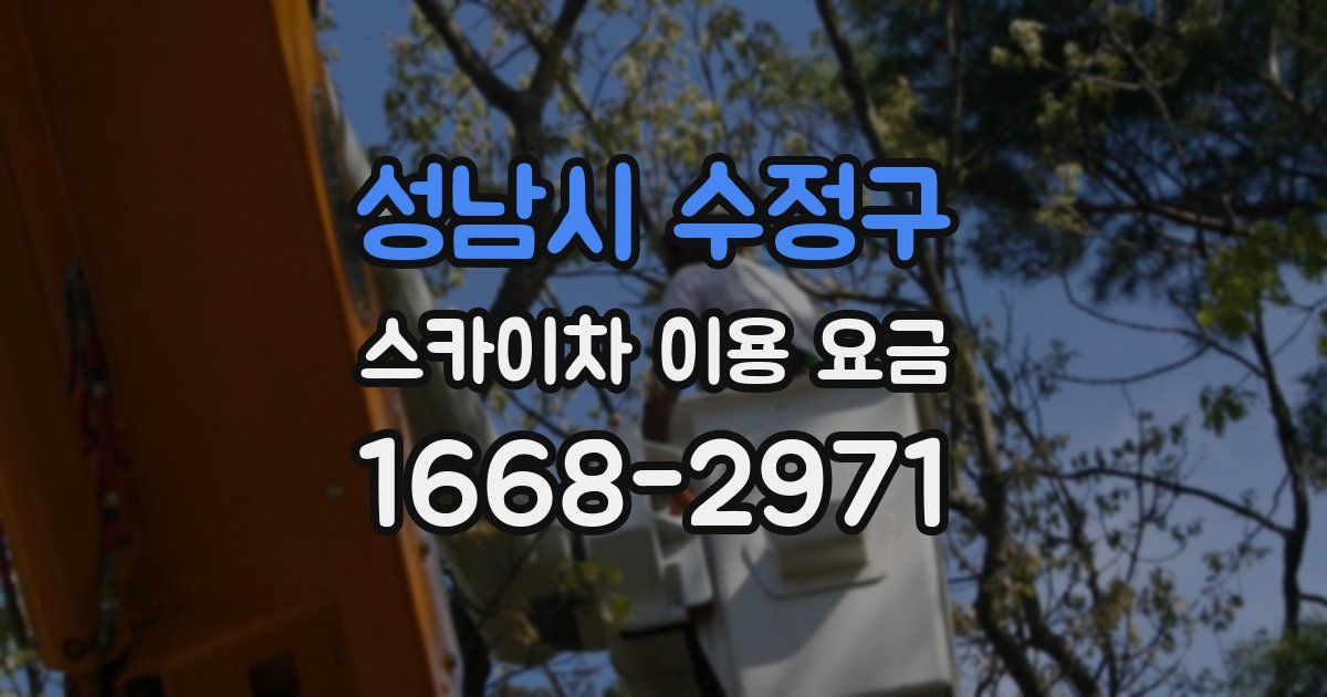 성남시 수정구 스카이차 이용 요금