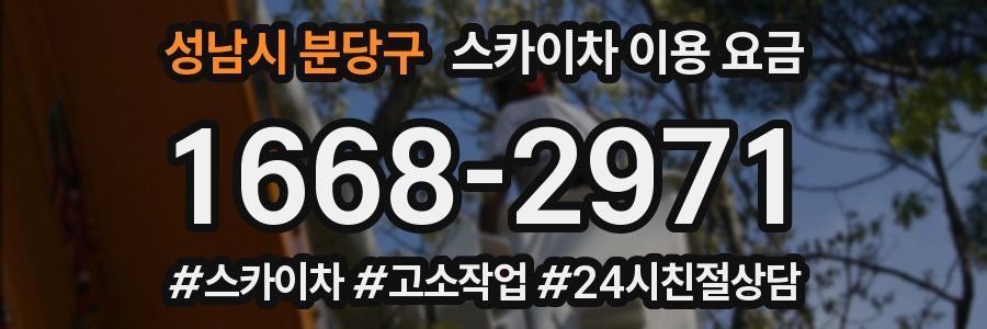 성남시 분당구 스카이차 이용 요금