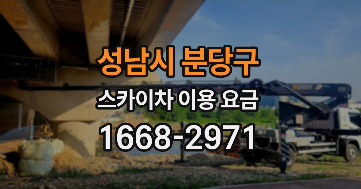 성남시 분당구 스카이차 이용 요금