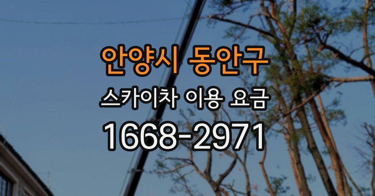 안양시 동안구 스카이차 이용 요금