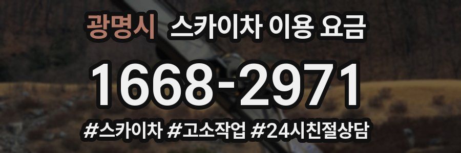 광명시 스카이차 이용 요금