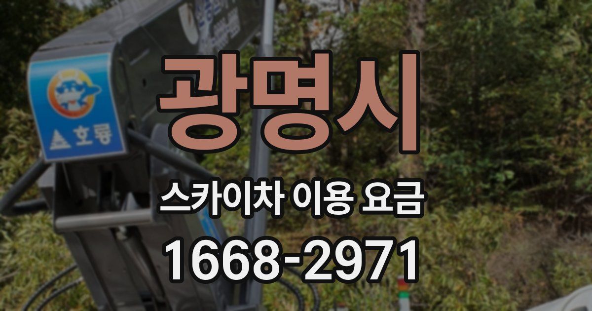 광명시 스카이차 이용 요금