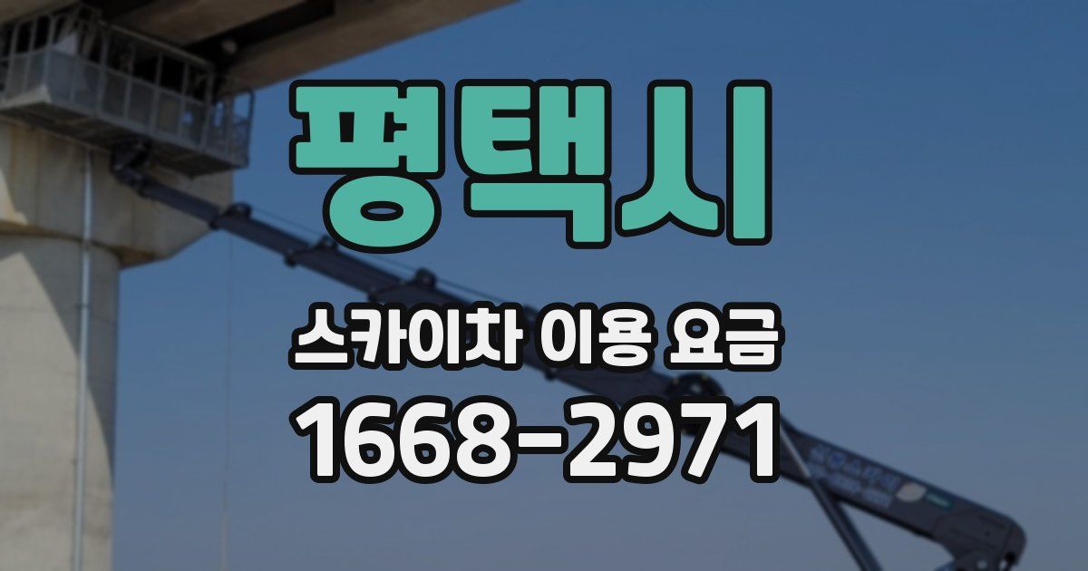 평택시 스카이차 이용 요금