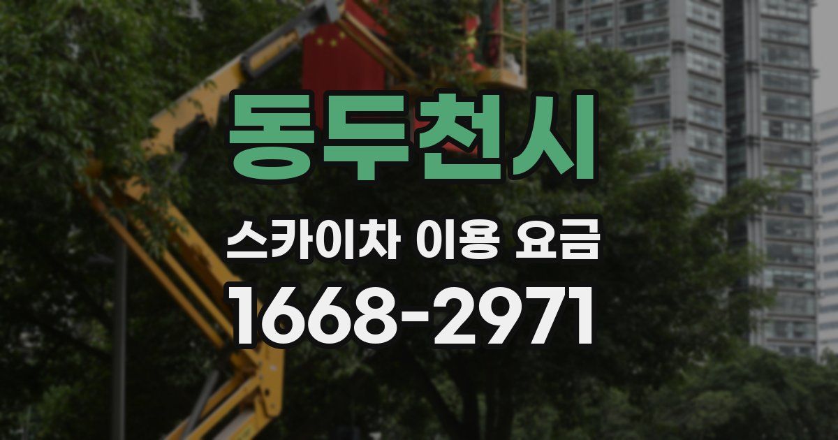 동두천시 스카이차 이용 요금