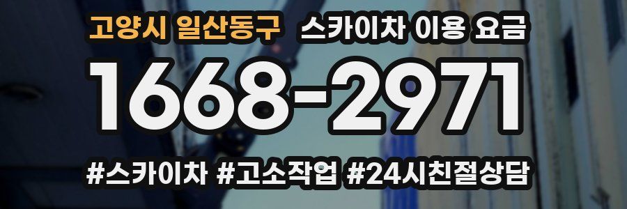 고양시 일산동구 스카이차 이용 요금