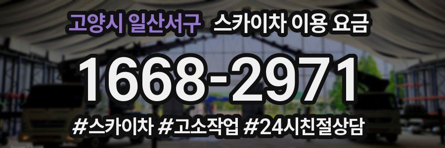 고양시 일산서구 스카이차 이용 요금