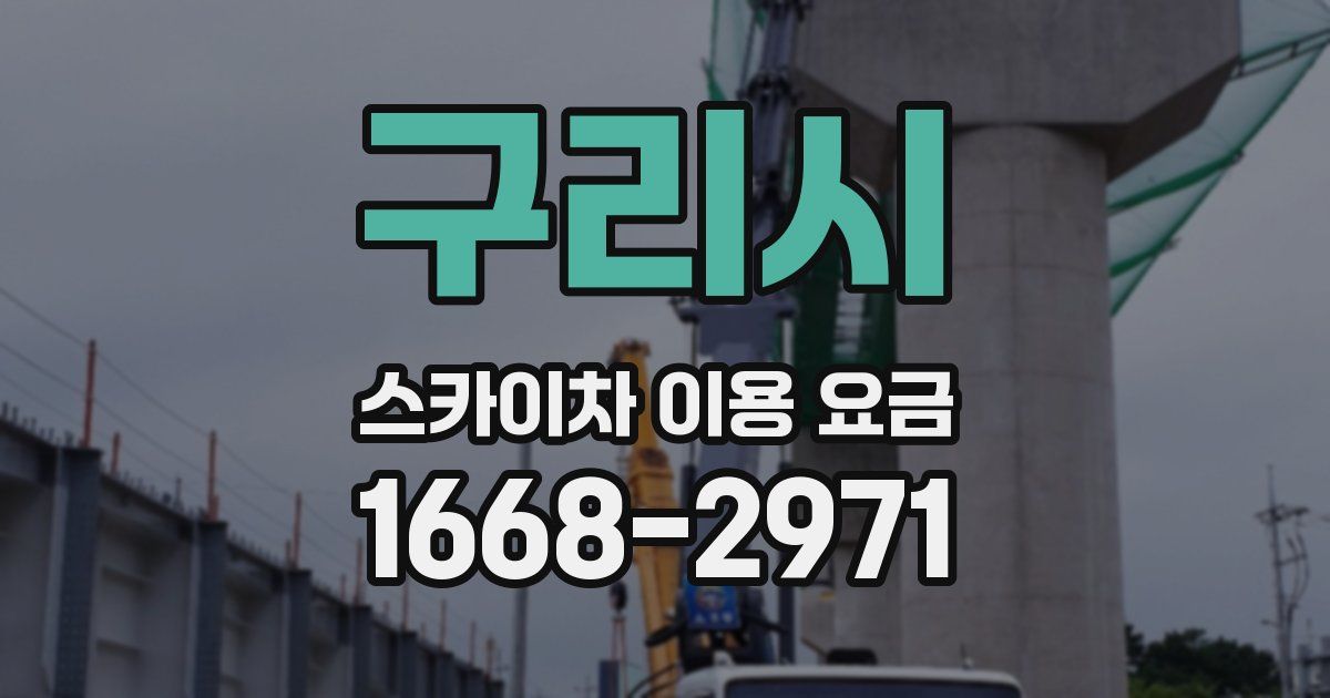 구리시 스카이차 이용 요금