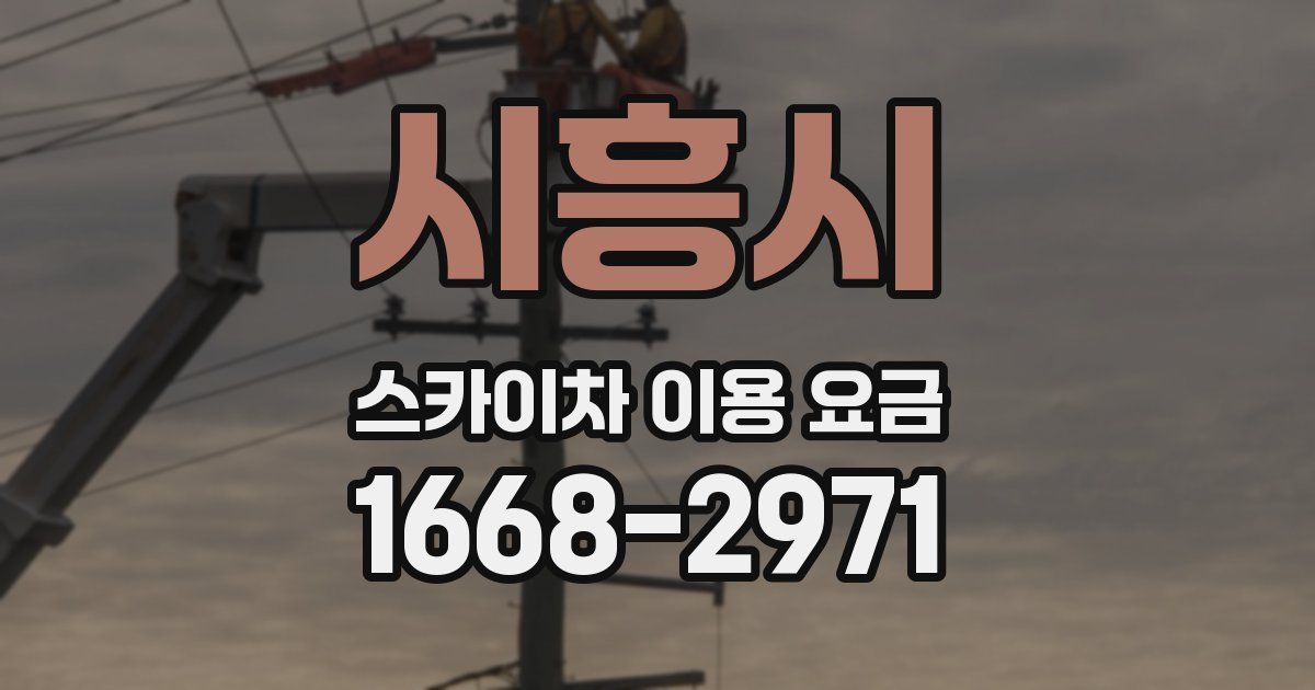 시흥시 스카이차 이용 요금