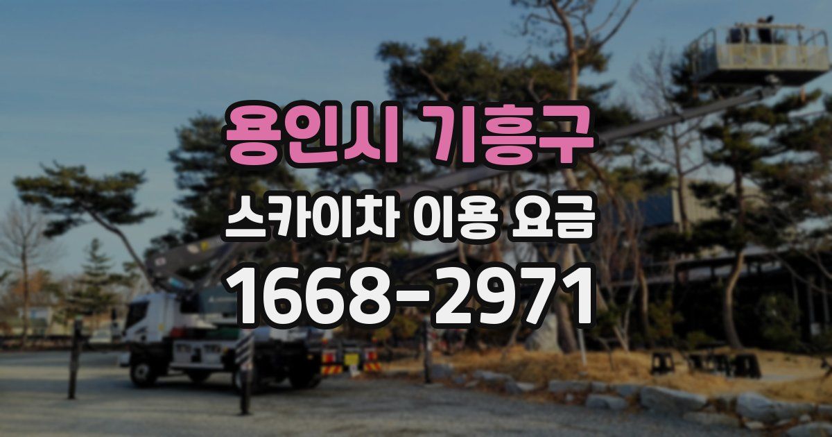 용인시 기흥구 스카이차 이용 요금