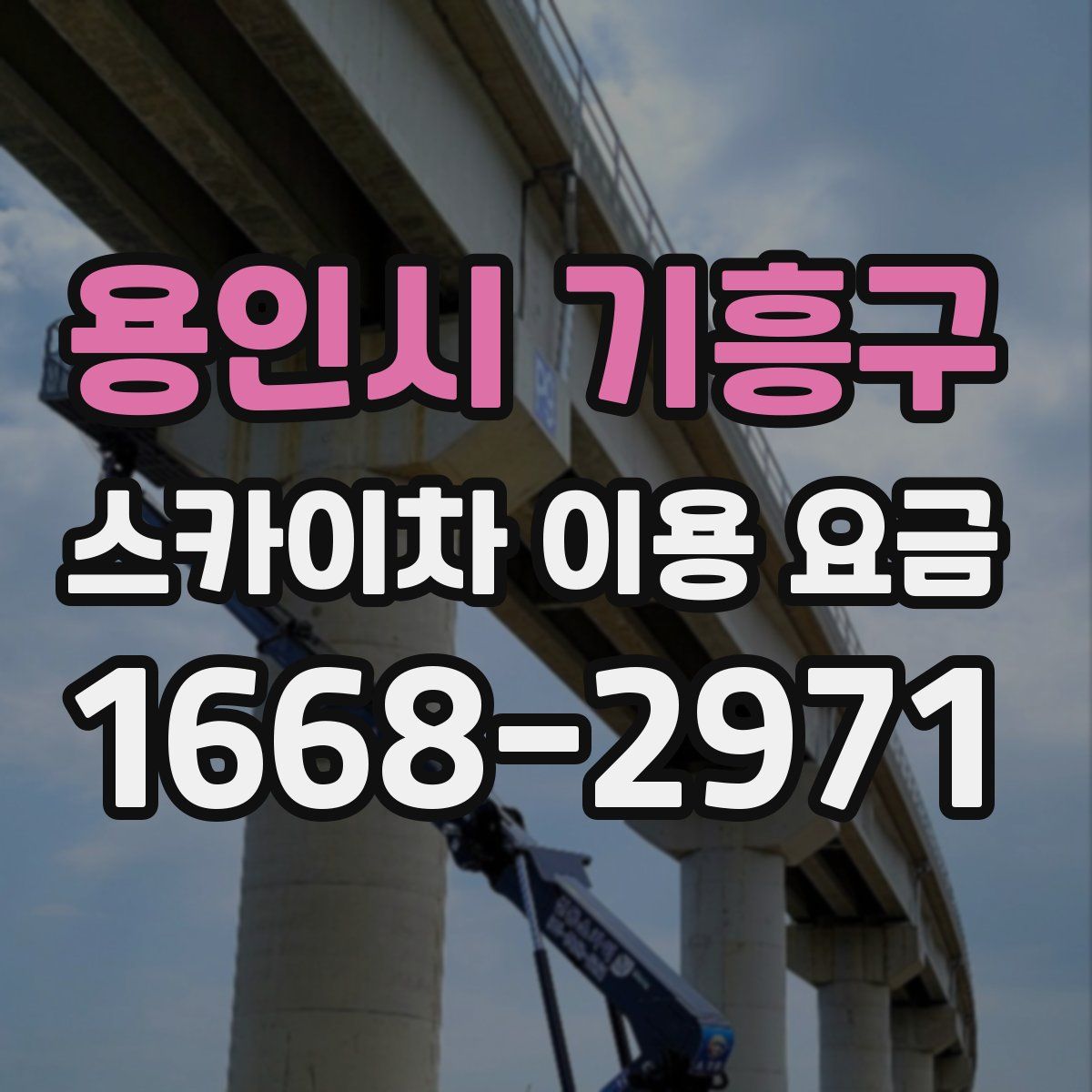 용인시 기흥구 스카이차 이용 요금