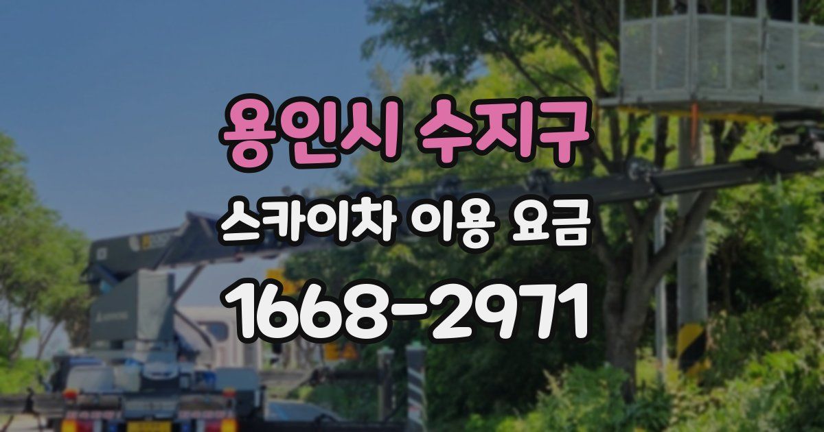 용인시 수지구 스카이차 이용 요금