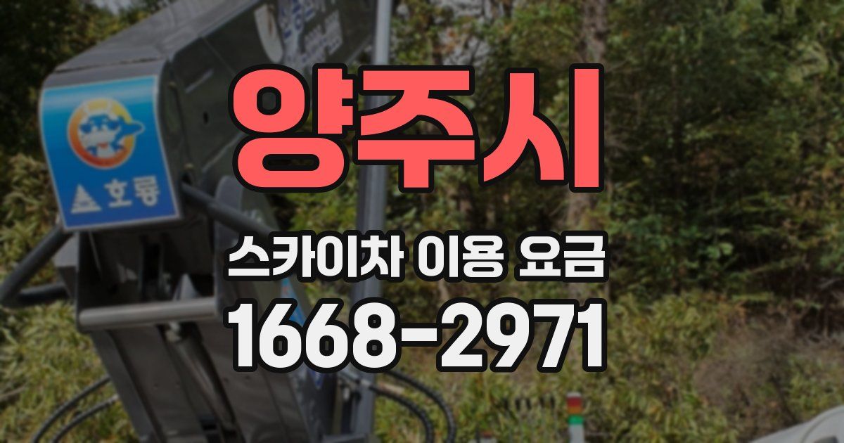 양주시 스카이차 이용 요금