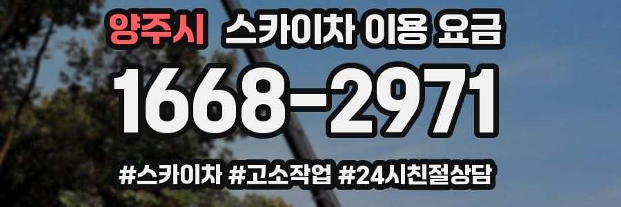 양주시 스카이차 이용 요금