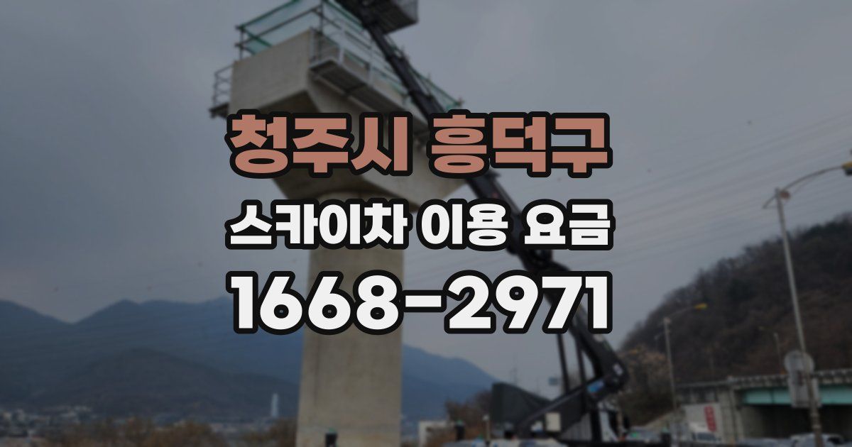청주시 흥덕구 스카이차 이용 요금