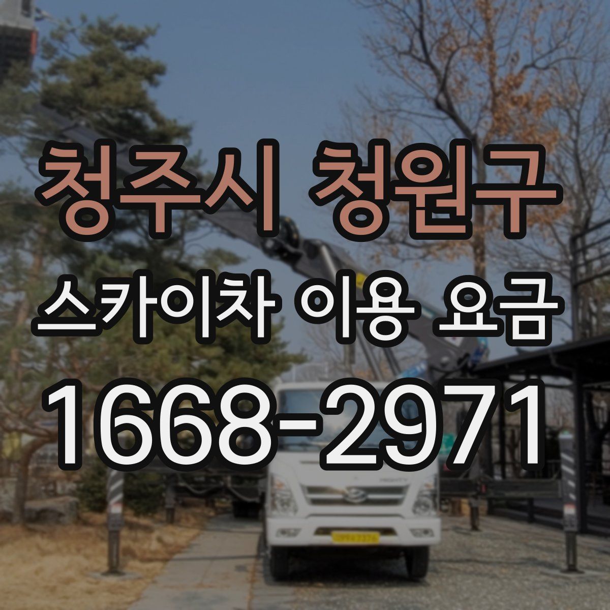 청주시 청원구 스카이차 이용 요금