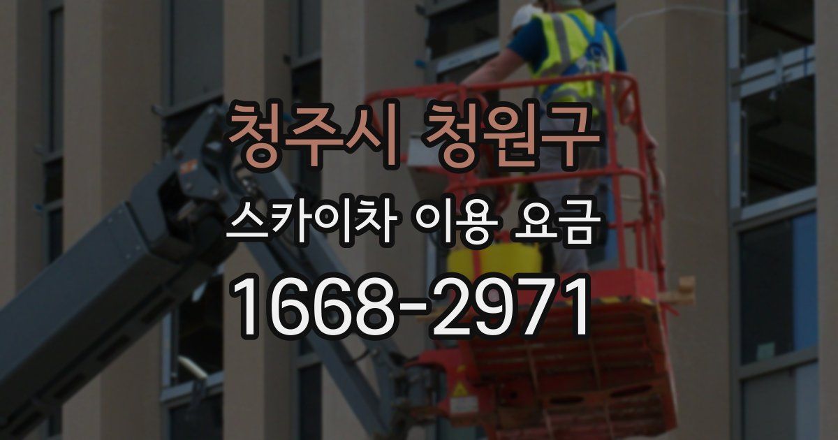 청주시 청원구 스카이차 이용 요금