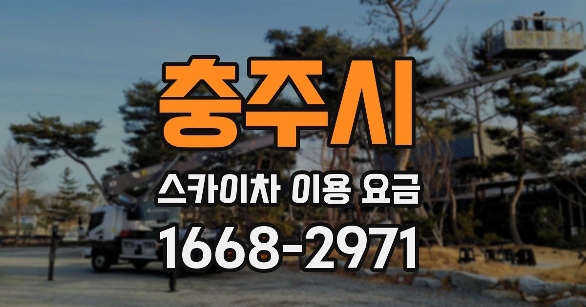 충주시 스카이차 이용 요금
