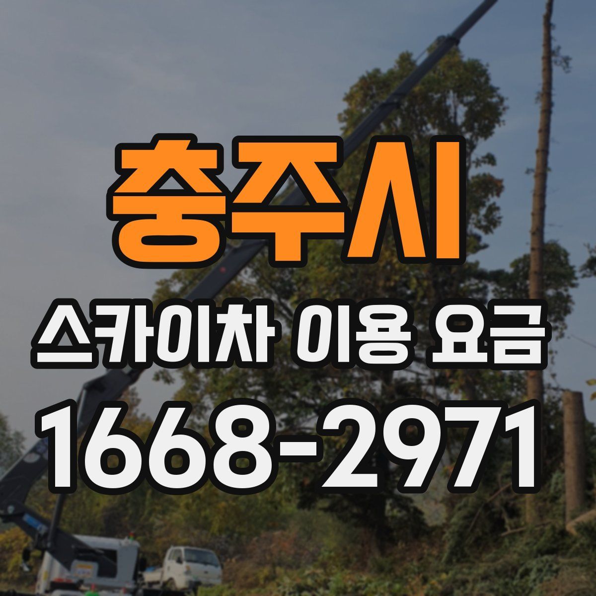 충주시 스카이차 이용 요금