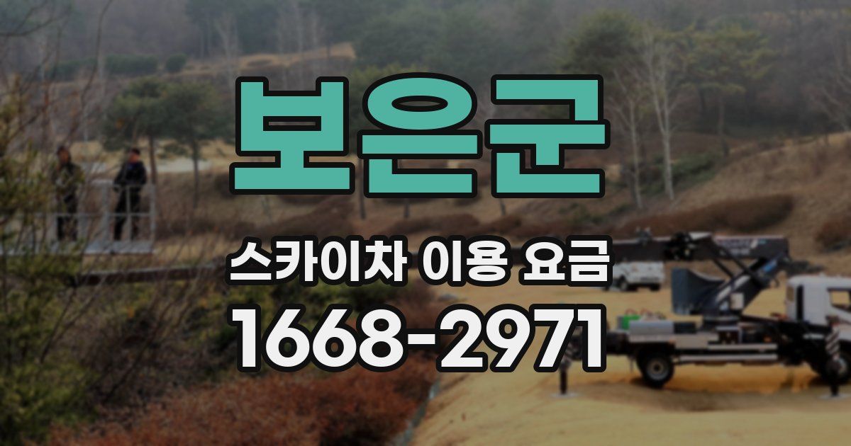 보은군 스카이차 이용 요금