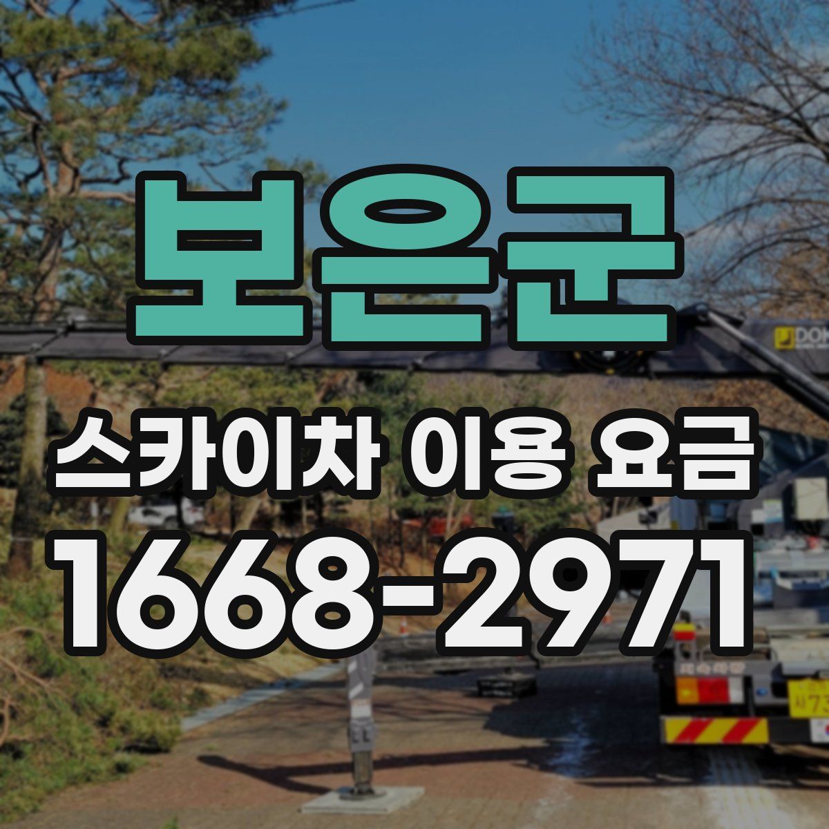 보은군 스카이차 이용 요금
