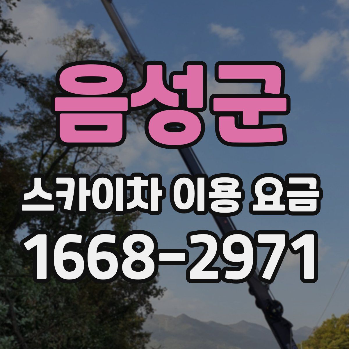 음성군 스카이차 이용 요금