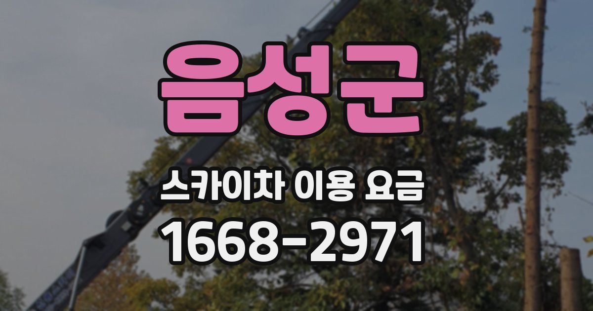 음성군 스카이차 이용 요금