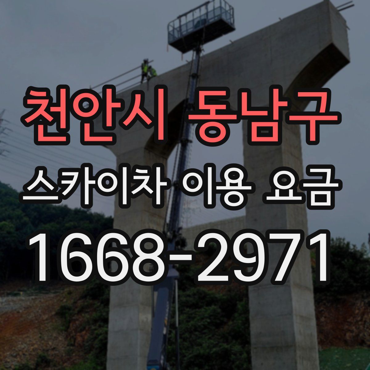 천안시 동남구 스카이차 이용 요금