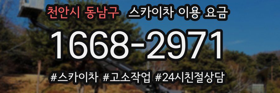 천안시 동남구 스카이차 이용 요금