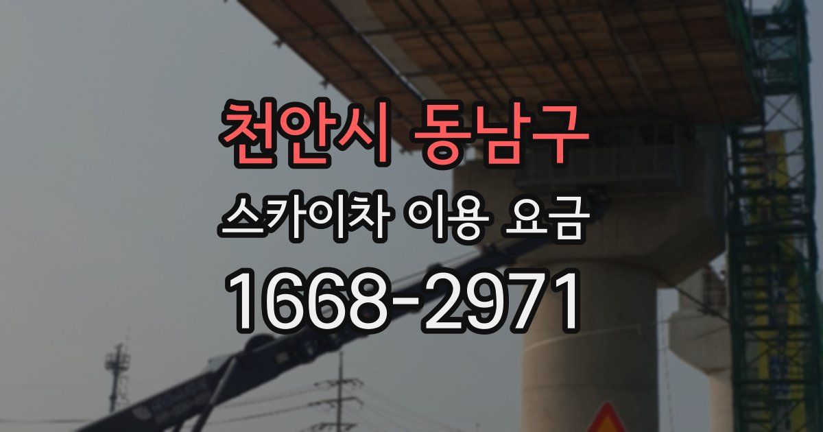 천안시 동남구 스카이차 이용 요금