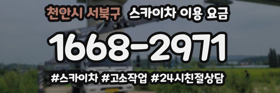 천안시 서북구 스카이차 이용 요금