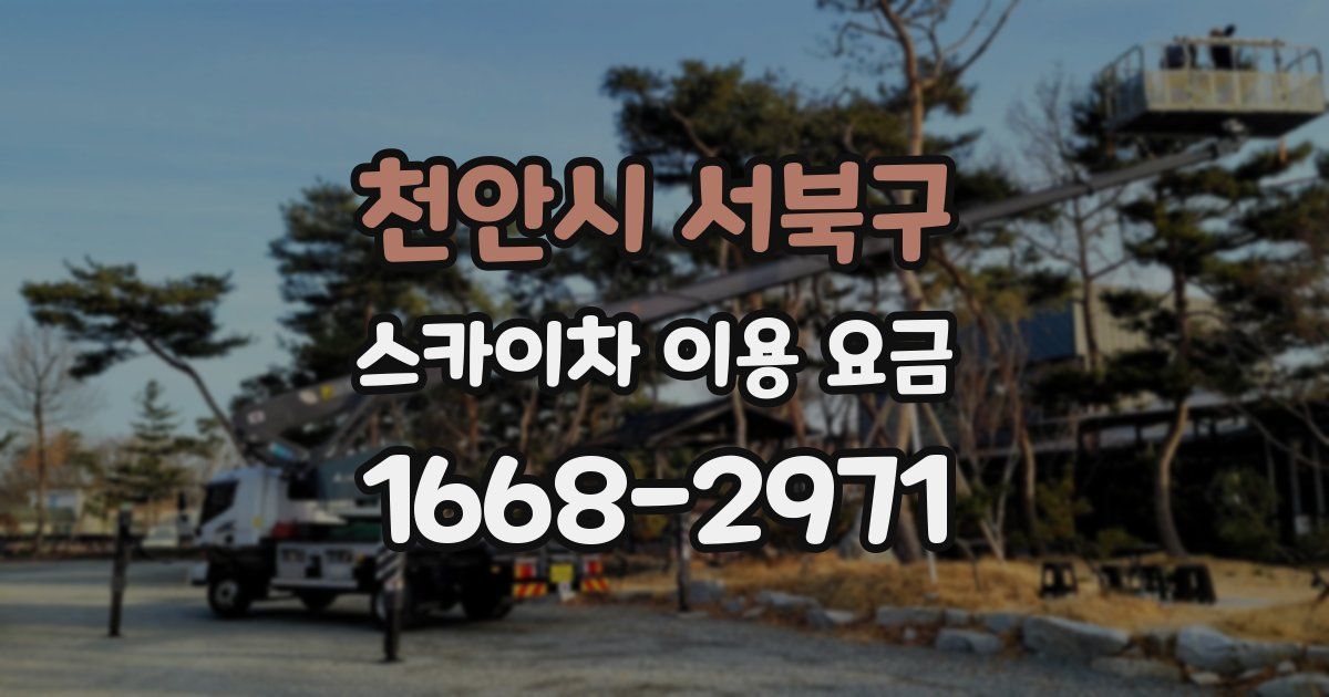 천안시 서북구 스카이차 이용 요금