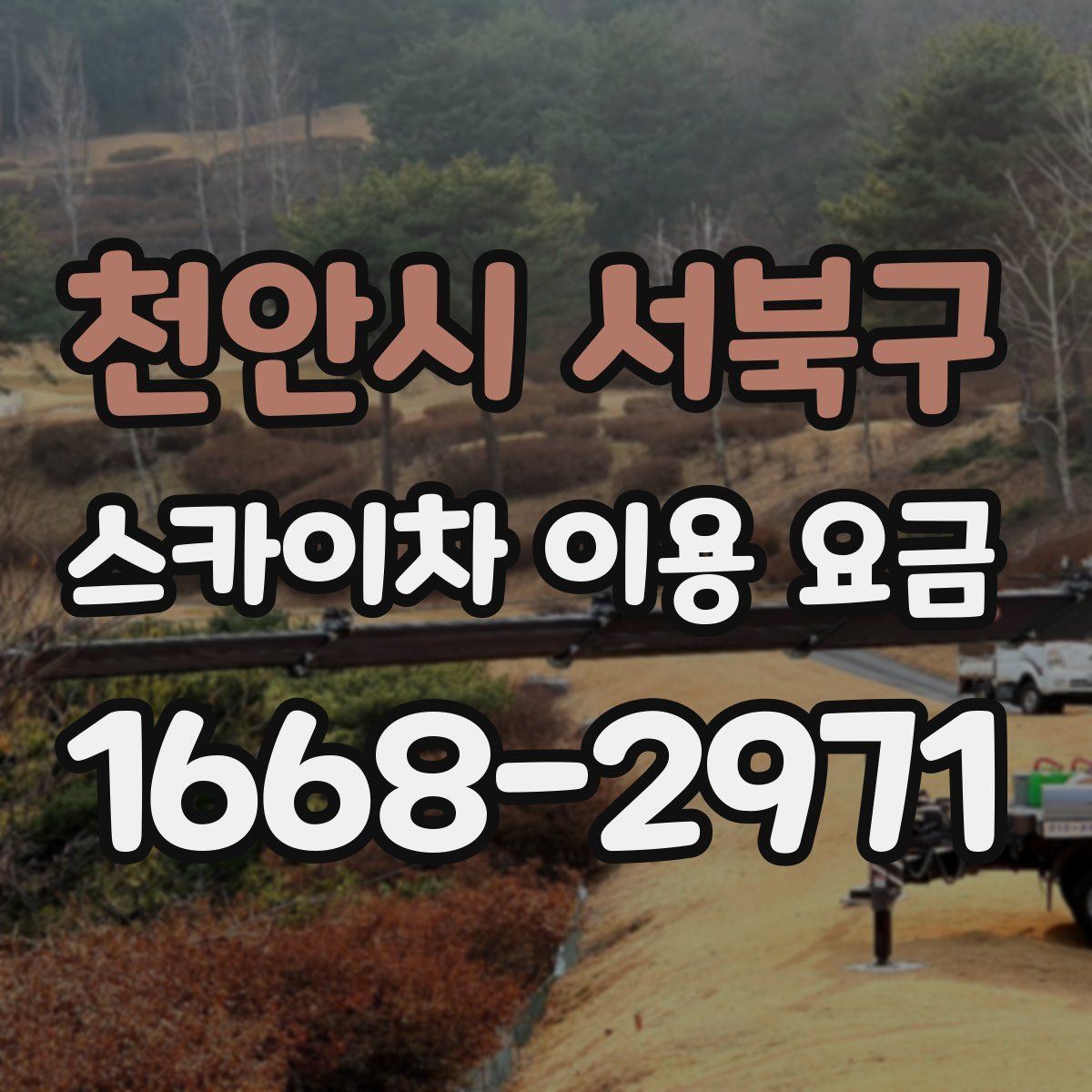 천안시 서북구 스카이차 이용 요금