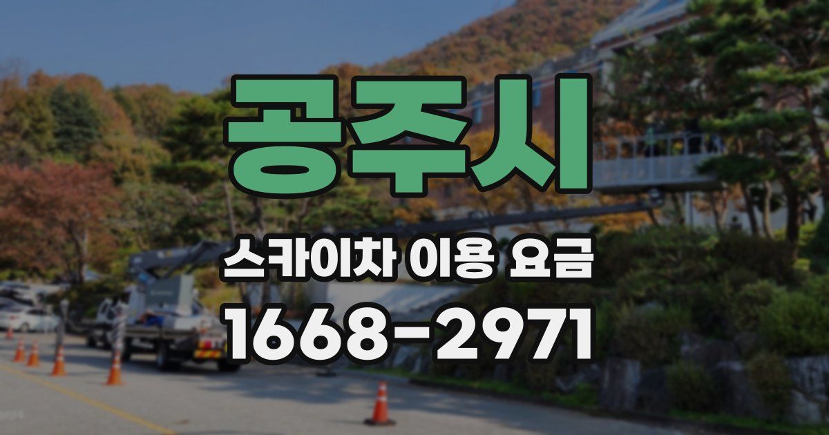 공주시 스카이차 이용 요금