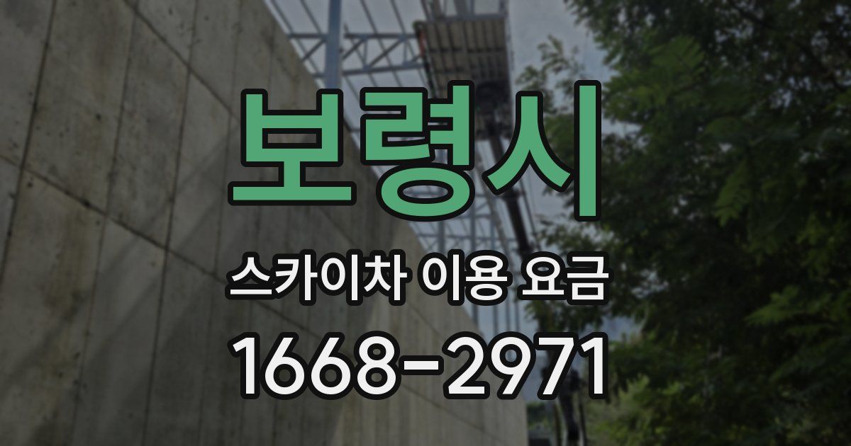 보령시 스카이차 이용 요금