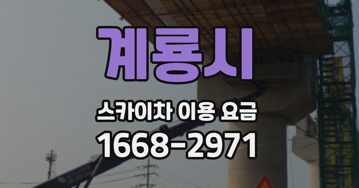 계룡시 스카이차 이용 요금