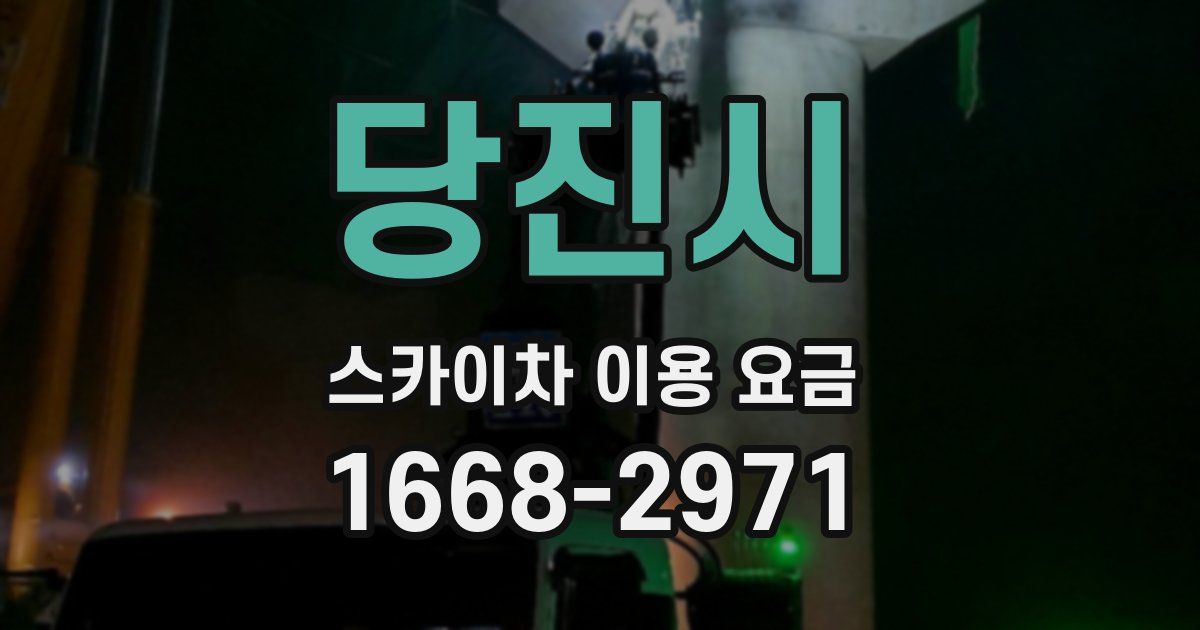 당진시 스카이차 이용 요금