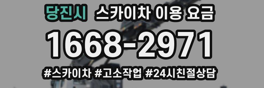 당진시 스카이차 이용 요금