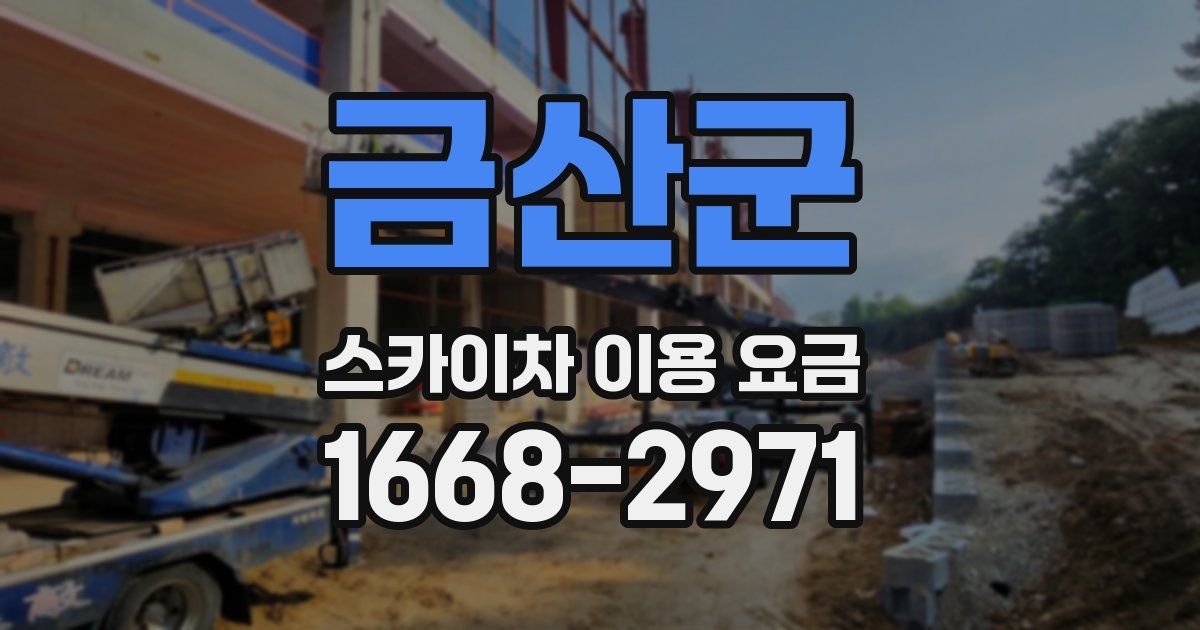 금산군 스카이차 이용 요금