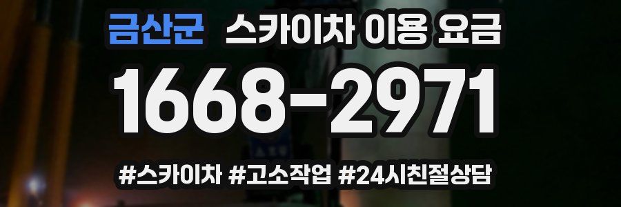 금산군 스카이차 이용 요금