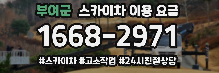 부여군 스카이차 이용 요금