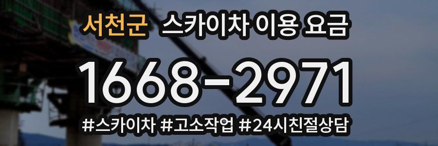 서천군 스카이차 이용 요금