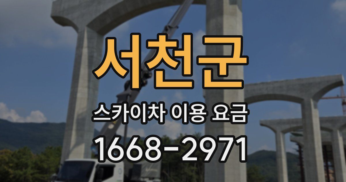 서천군 스카이차 이용 요금