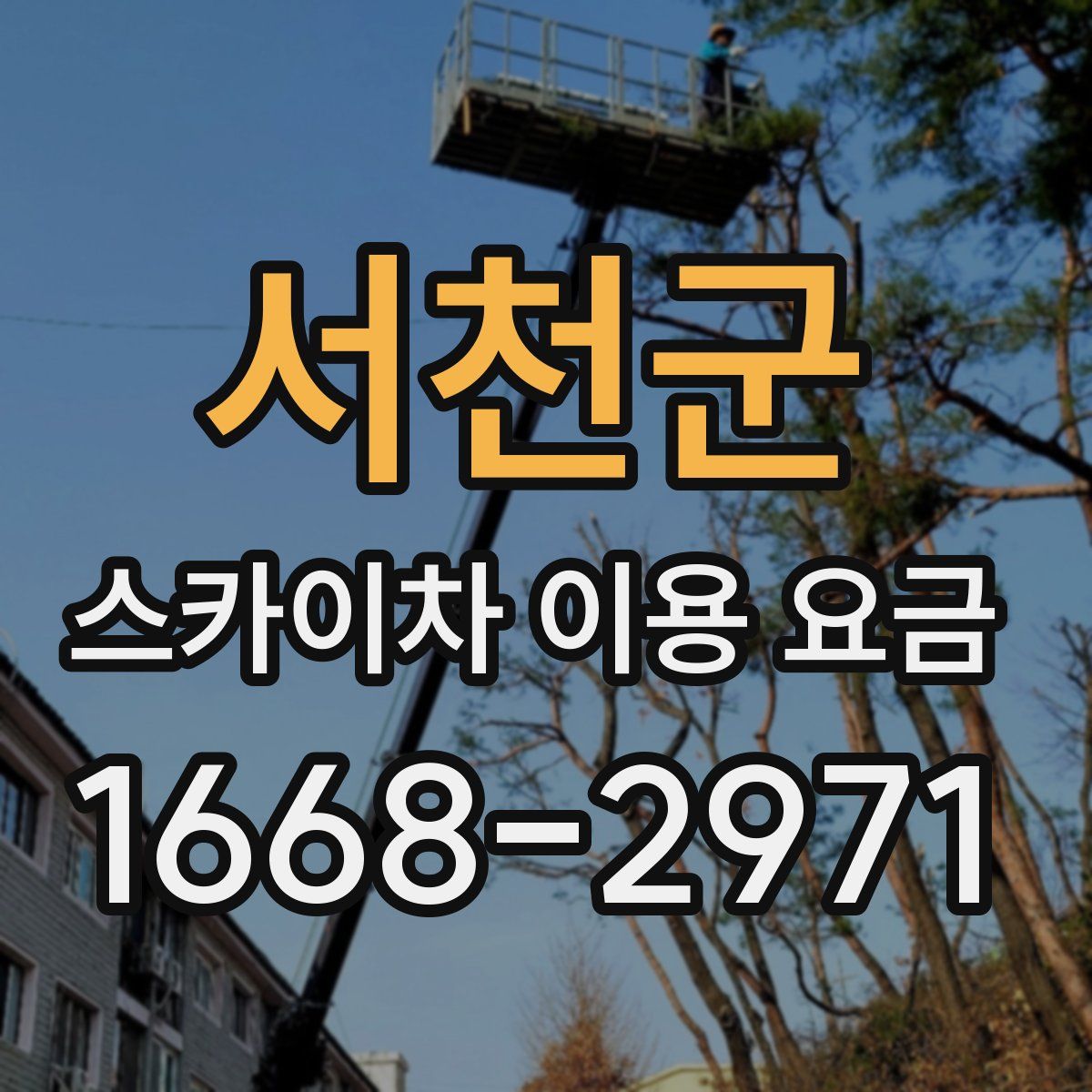 서천군 스카이차 이용 요금
