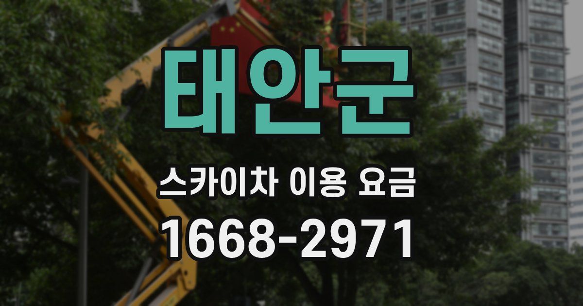 태안군 스카이차 이용 요금