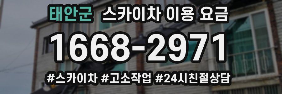 태안군 스카이차 이용 요금