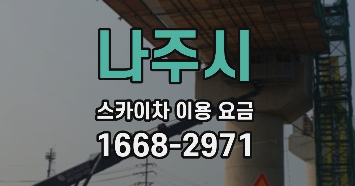 나주시 스카이차 이용 요금