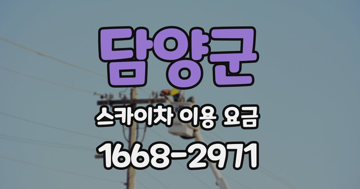 담양군 스카이차 이용 요금