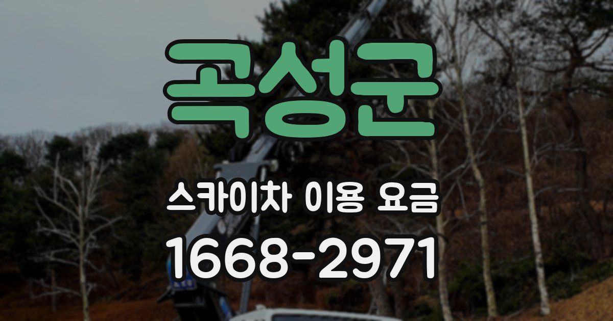 곡성군 스카이차 이용 요금