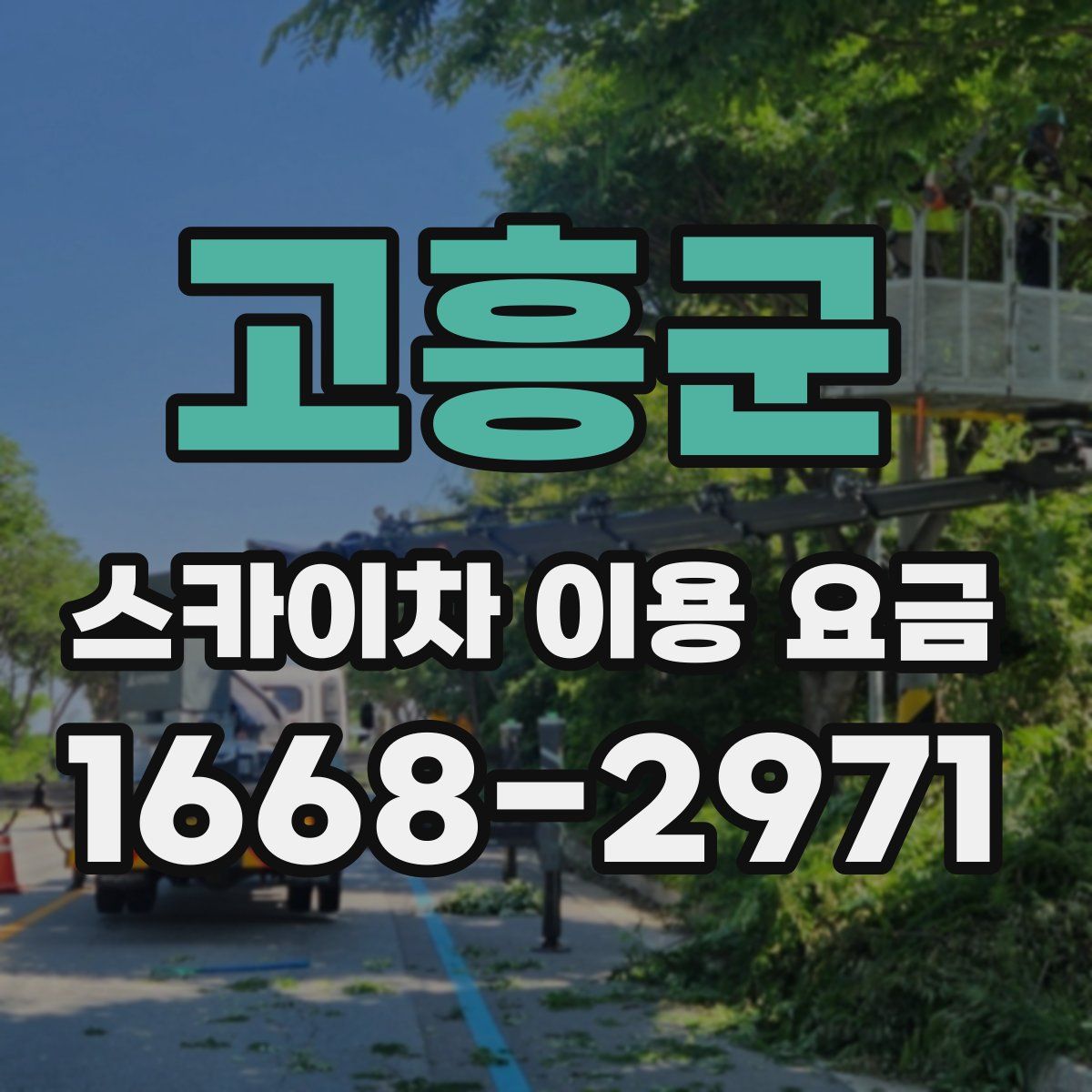 고흥군 스카이차 이용 요금