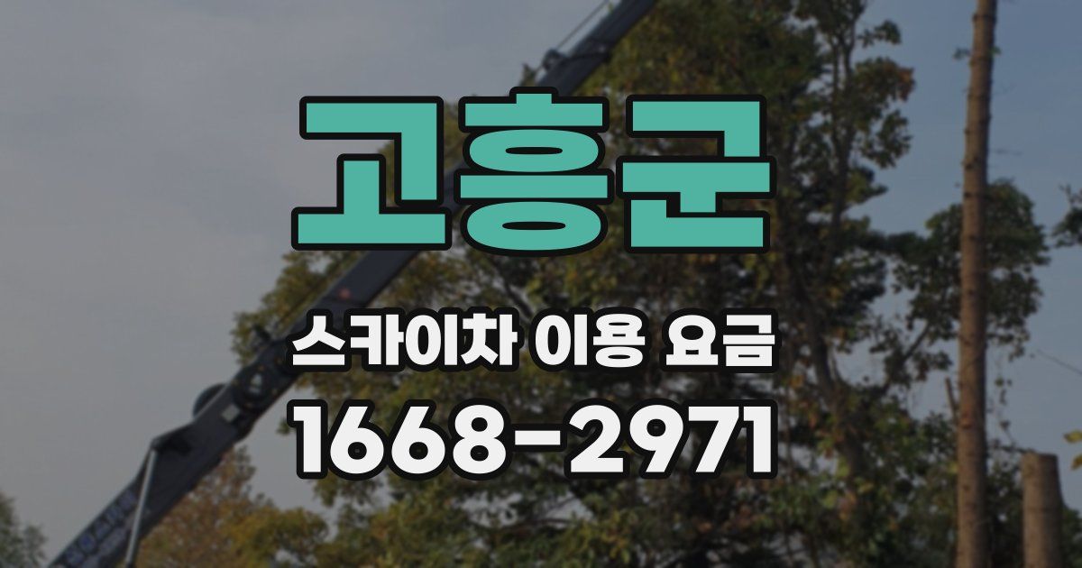 고흥군 스카이차 이용 요금